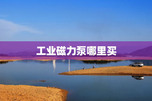 工业磁力泵哪里买