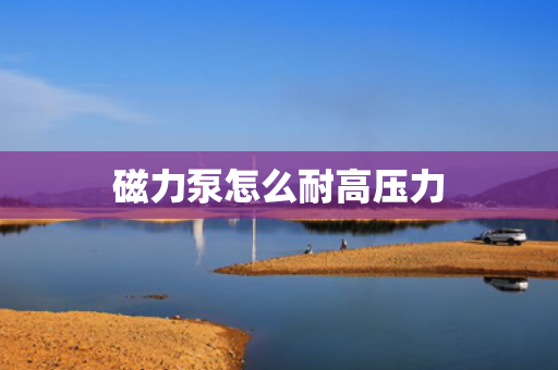 磁力泵怎么耐高压力