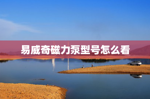 易威奇磁力泵型号怎么看