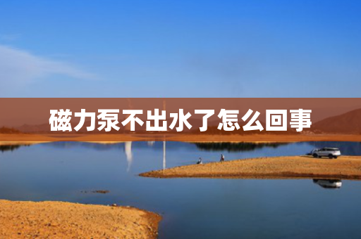 磁力泵不出水了怎么回事