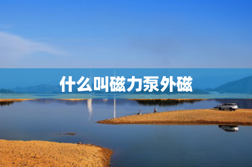 什么叫磁力泵外磁