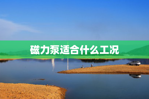 磁力泵适合什么工况