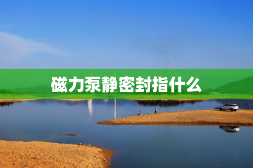 磁力泵静密封指什么