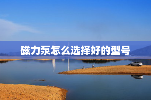 磁力泵怎么选择好的型号