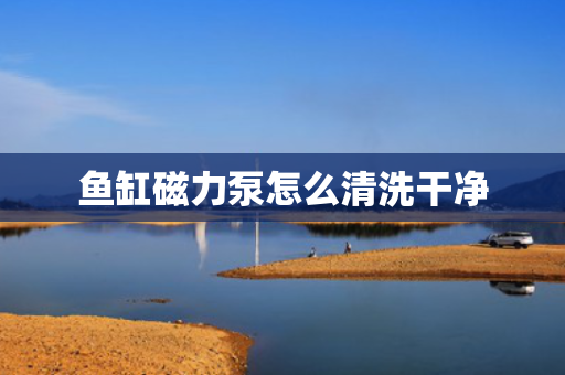 鱼缸磁力泵怎么清洗干净