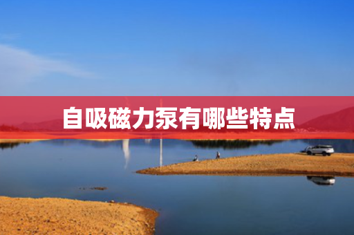 自吸磁力泵有哪些特点