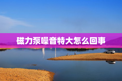 磁力泵噪音特大怎么回事