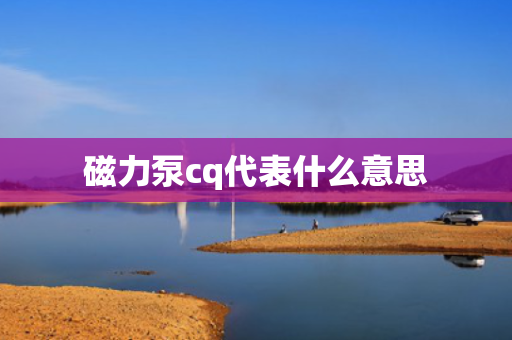 磁力泵cq代表什么意思