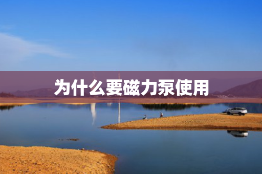 为什么要磁力泵使用