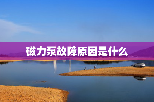 磁力泵故障原因是什么