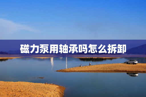 磁力泵用轴承吗怎么拆卸
