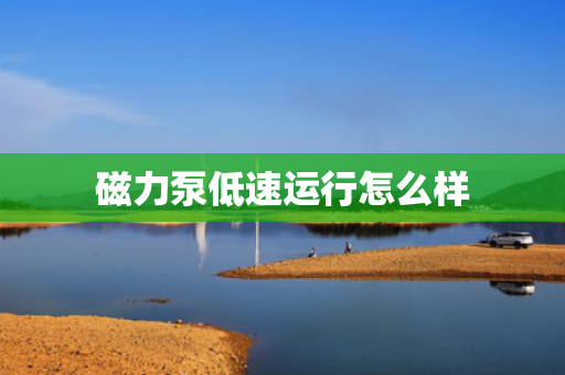 磁力泵低速运行怎么样