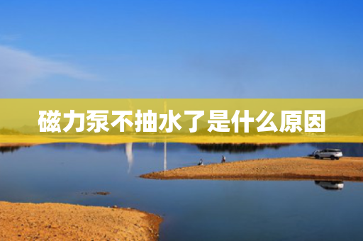 磁力泵不抽水了是什么原因