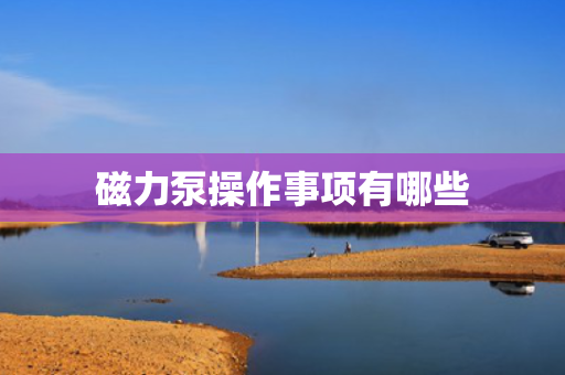 磁力泵操作事项有哪些