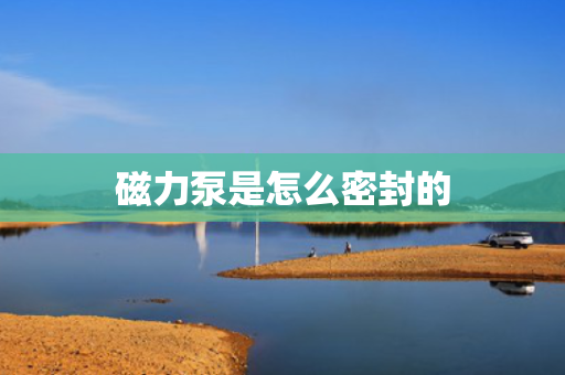 磁力泵是怎么密封的