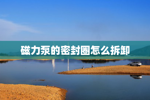 磁力泵的密封圈怎么拆卸