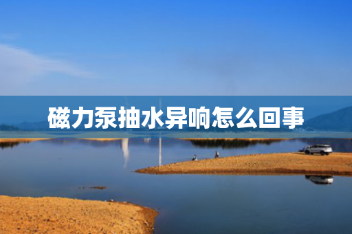 磁力泵抽水异响怎么回事