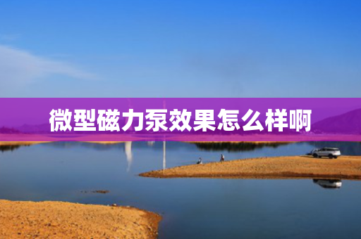 微型磁力泵效果怎么样啊