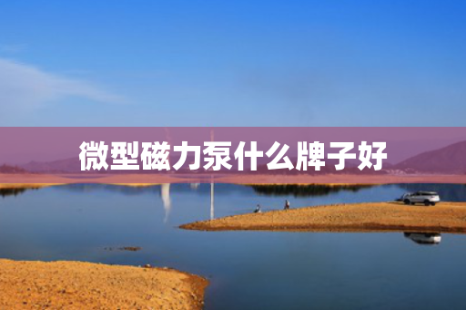 微型磁力泵什么牌子好