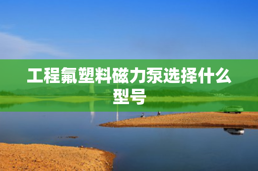 工程氟塑料磁力泵选择什么型号