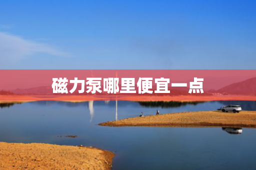 磁力泵哪里便宜一点