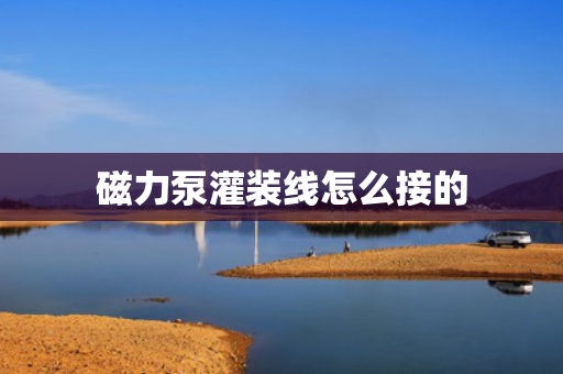 磁力泵灌装线怎么接的