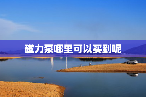 磁力泵哪里可以买到呢