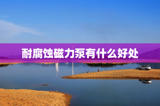 耐腐蚀磁力泵有什么好处
