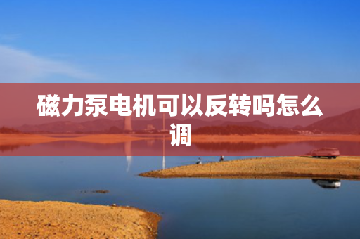 磁力泵电机可以反转吗怎么调
