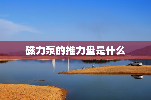 磁力泵的推力盘是什么