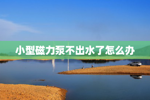 小型磁力泵不出水了怎么办