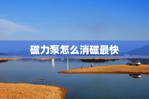 磁力泵怎么消磁最快