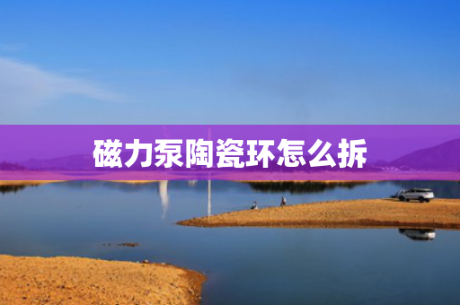 磁力泵陶瓷环怎么拆