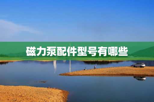 磁力泵配件型号有哪些