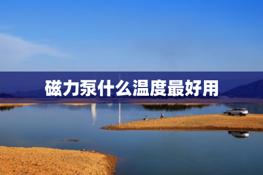 磁力泵什么温度最好用