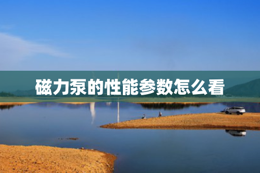 磁力泵的性能参数怎么看