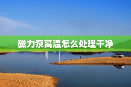 磁力泵高温怎么处理干净