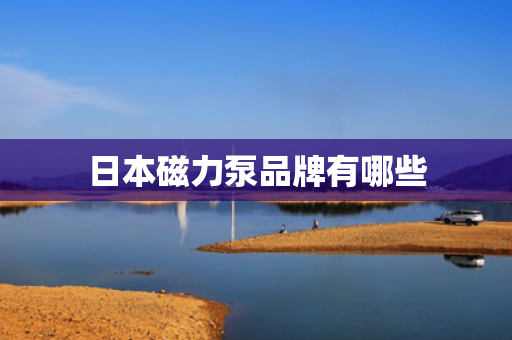 日本磁力泵品牌有哪些