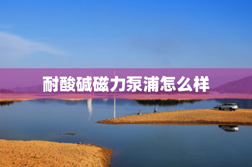 耐酸碱磁力泵浦怎么样