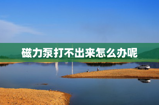 磁力泵打不出来怎么办呢