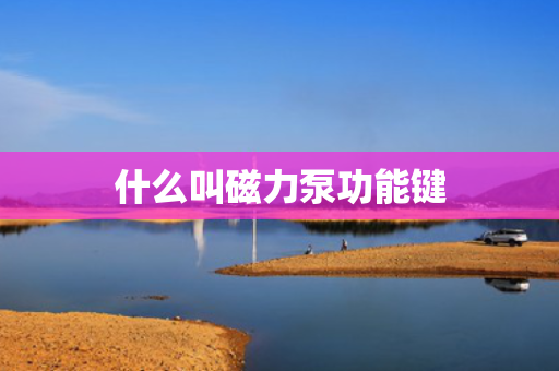 什么叫磁力泵功能键