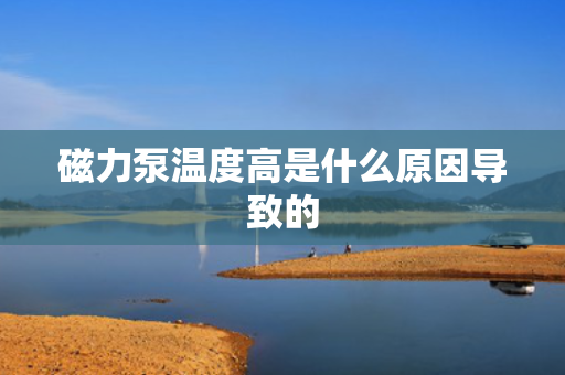 磁力泵温度高是什么原因导致的