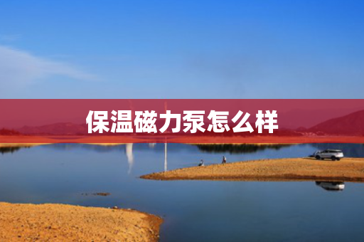 保温磁力泵怎么样