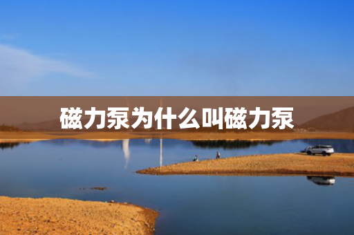 磁力泵为什么叫磁力泵