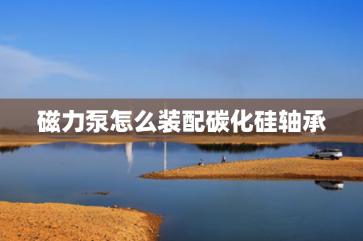 磁力泵怎么装配碳化硅轴承