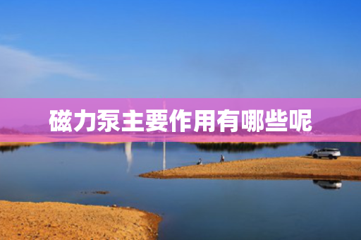 磁力泵主要作用有哪些呢