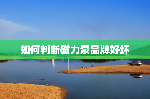 如何判断磁力泵品牌好坏