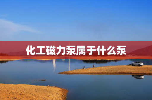 化工磁力泵属于什么泵