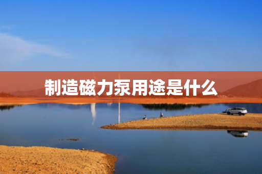 制造磁力泵用途是什么