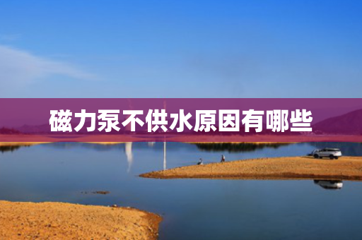 磁力泵不供水原因有哪些
